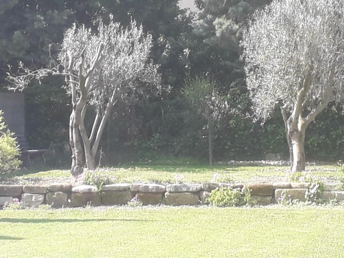 Mas" La Maison De Mon Pere " Proche Avignon A Pujaut Εξωτερικό φωτογραφία